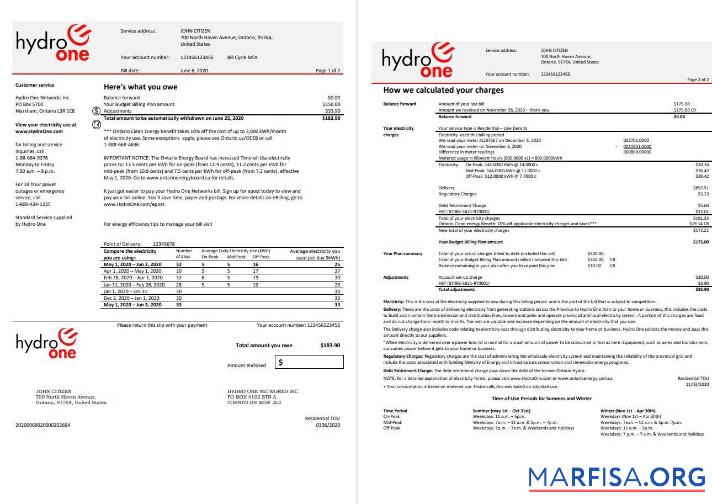 Blank USA Ontario’s Hydro One electricity utility bill template in Word and PDF format (2 pages)